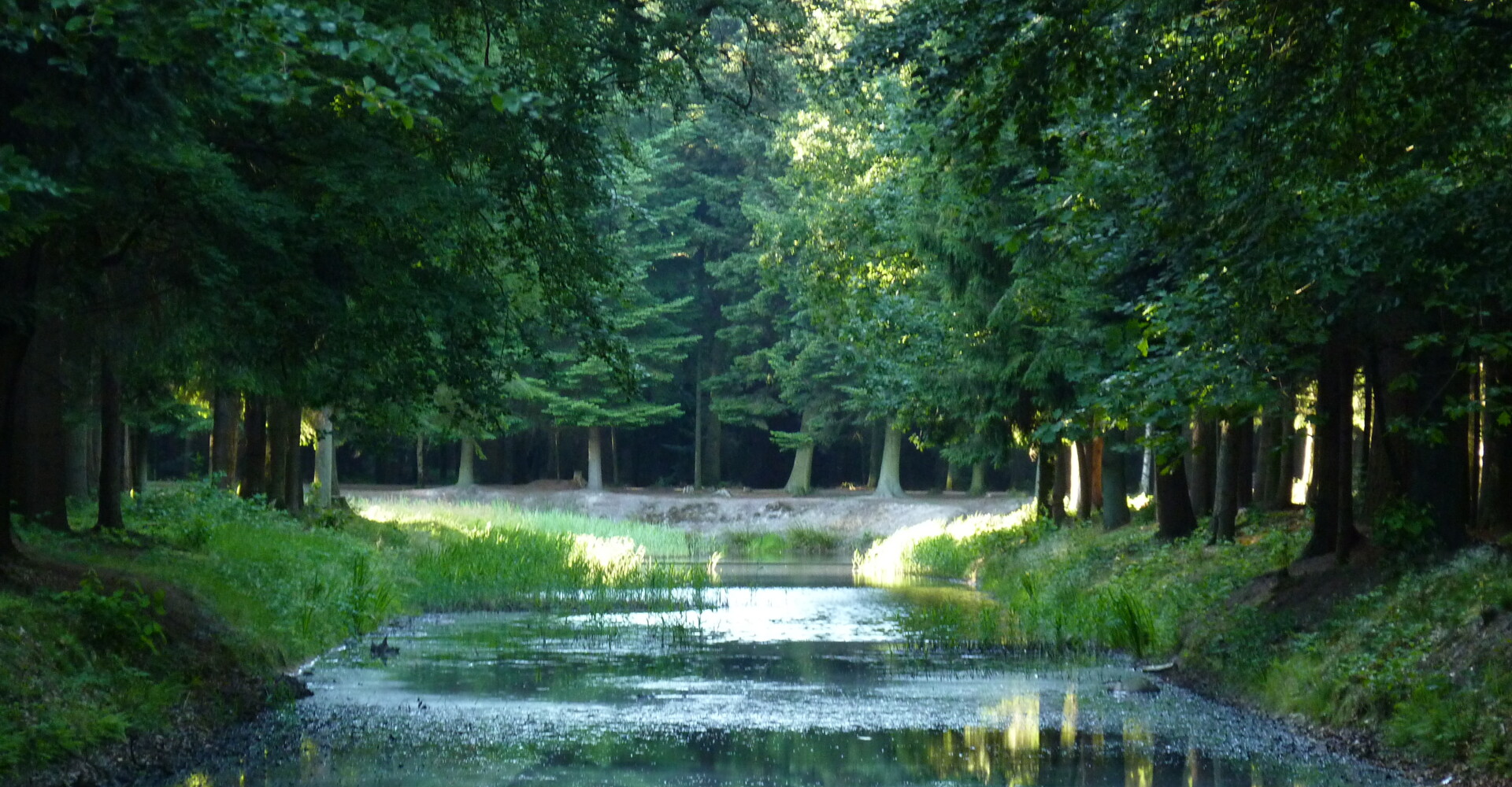 Waldpark