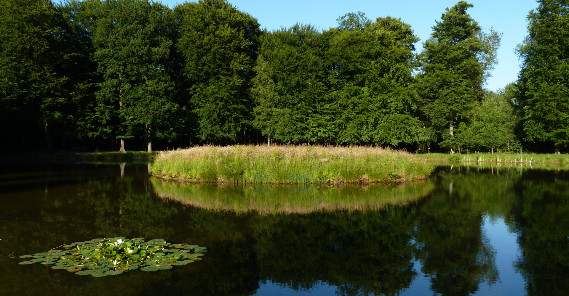 Schlossteichanlage