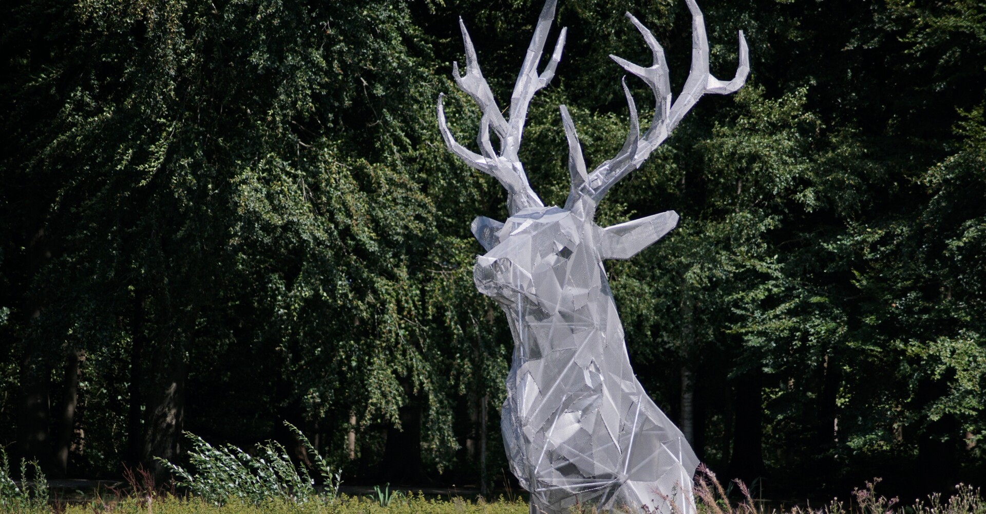 Platzhirsch