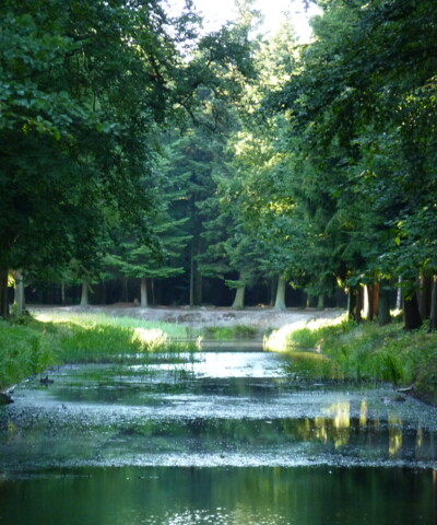 Waldpark
