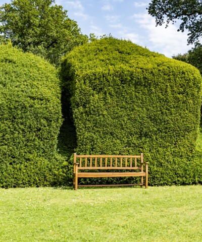Gartenfest_klein